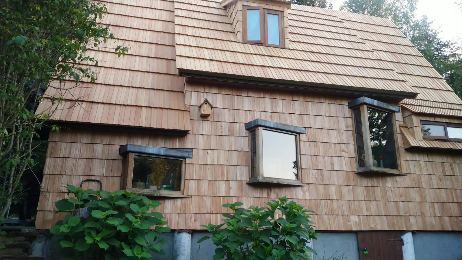 halkaistu puupaanu paanu valmistaja ekologinen kattopäällyste Puola